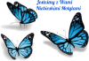 niebieskie motyle