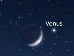 Venus